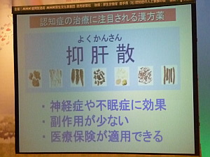 写真:抑肝散の説明画面