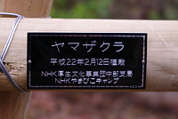 写真：NHKやまびこキャンプのプレート