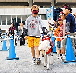 写真:男の子がアイマスクをして盲導犬に引かれて歩く