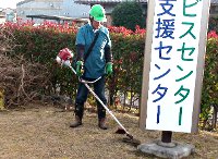 写真：刈払機で芝生を刈っている