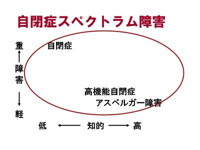 図：自閉症スペクトラムの説明