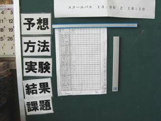 写真：黒板に、「予想」「実験」などと書いた大きなカードが貼ってある