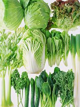 写真：緑の野菜