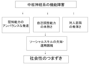 社会性のつまずきの背景に中枢神経系の機能障害がある