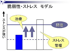 図：脆弱性とストレスの3枚目。内容は本文