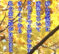 静止画：吉野さんの歌。内容は本文