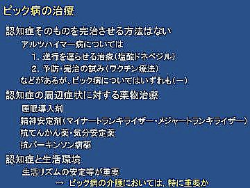 写真：スライド・内容は本文