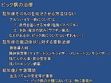 写真：スライド・内容は本文