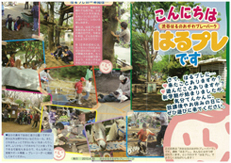 写真 写真